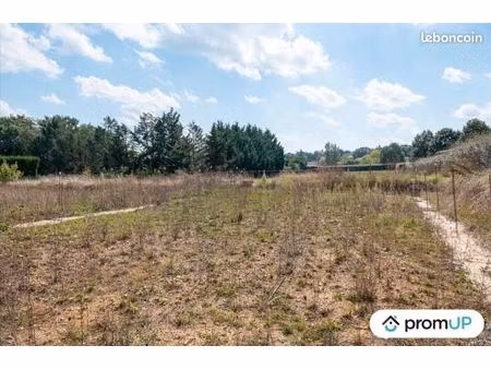 terrain constructible