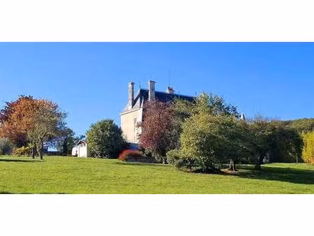 maison avec piscine et terrasse cravant-les-côteaux (37)