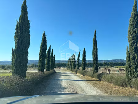 à vendre  domaine équestre clé-en-main entre alpilles et lubéron