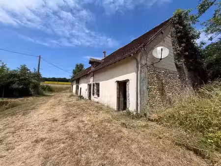 vente maison 5 pièces 42 m² à baudres (36110)  25 000 €