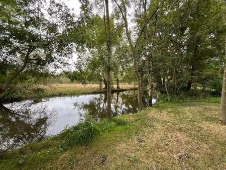 vente terrain 4390 m2 à le vanneau-irleau