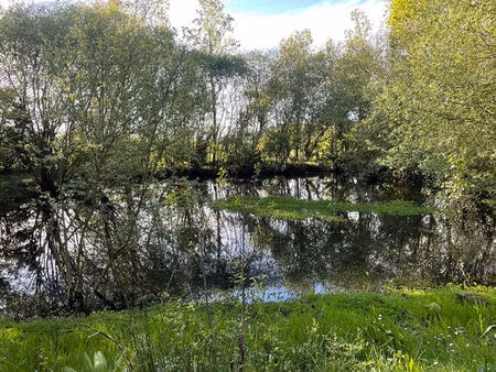 vente terrain de loisirs  nieul