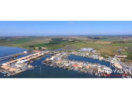 terrain conchycoles idéal dégustation du coquillage