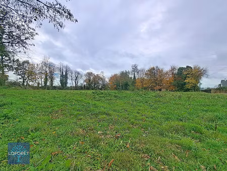 terrain le loroux 4474 m2
