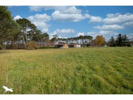 vente maison 6 pièces 166 m² saint-julien-en-born (40170)