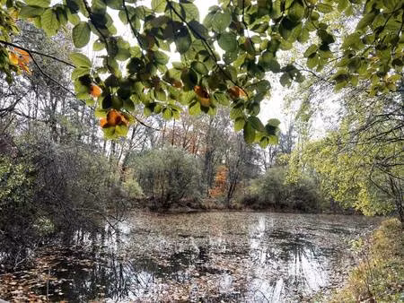 propriété de loisirs à vendre