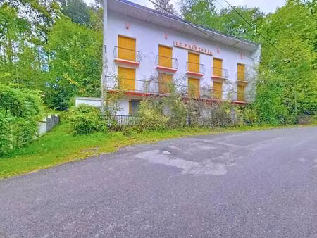 hôtel particulier à vendre