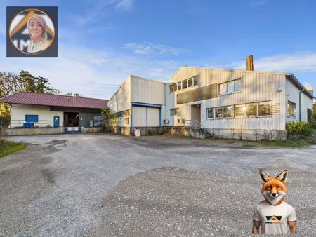 vente local commercial