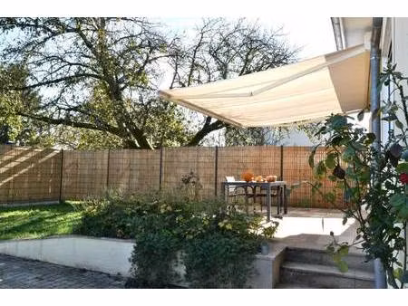 ms miribel immobilier