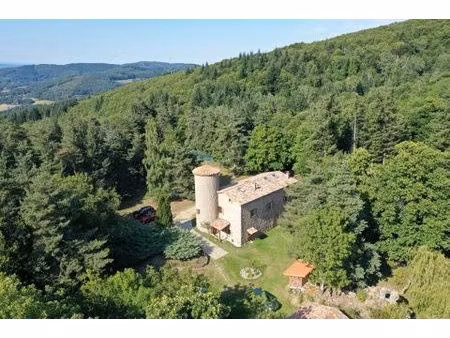 maison de caractère  en pleine nature  au coeur de l'ardèche verte.