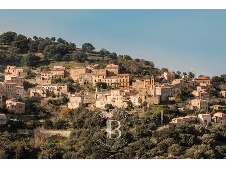 balagne  occhiatana  terrain à bâtir  proche l'île-rousse et plages