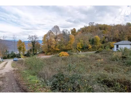 vente terrain à batir 1000 m² à la chapelle-du-mont-du-chat (73370)  185 000 €
