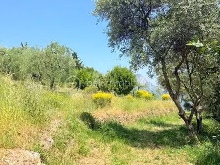 vente terrain 1562 m² à pierrefeu (06910)  115 500 €