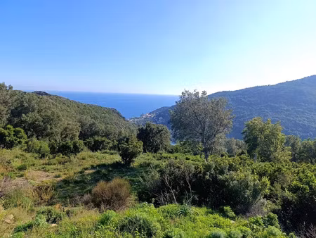 vente terrain à santa-maria-di-lota (20200)  310 000 €