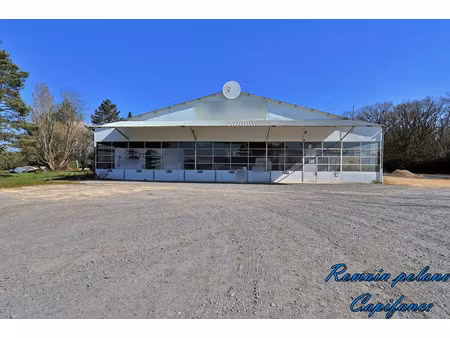 vente locaux professionnels 800 m² à méreau (18120)  132 000 €