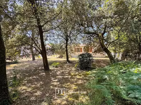 vente terrain à saint-palais-sur-mer (17420)  677 000 €