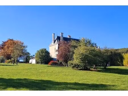 maison de prestige en vente cravant-les-coteaux  centre