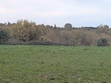 vente terrain à saint-caprais-de-bordeaux (33880) : à vendre / 28147m² saint-caprais-de-bo