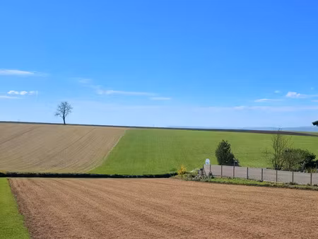 vente terrain 1743 m² malavillers (54560)