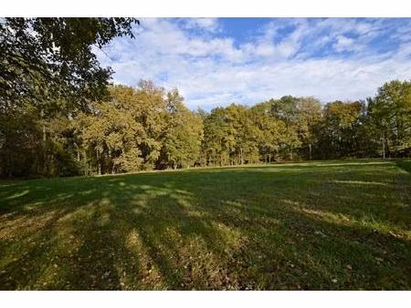 terrain à bâtir - savignac de duras