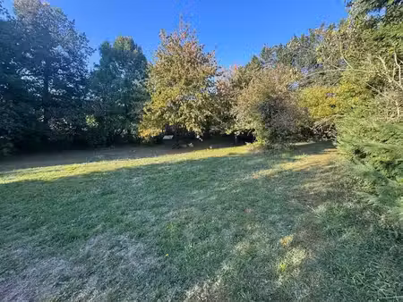 vente terrain 1000 m² à villeneuve-la-comptal (11400)  55 000 €