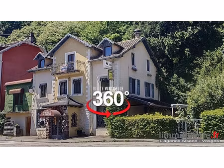 vente locaux professionnels 245 m² à sainte-croix-aux-mines (68160)  224 000 €