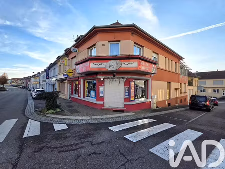 vente immeuble 232 m² à puttelange-aux-lacs (57510)  259 000 €