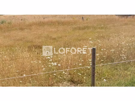 terrain saint ouen l aumone 350 m2