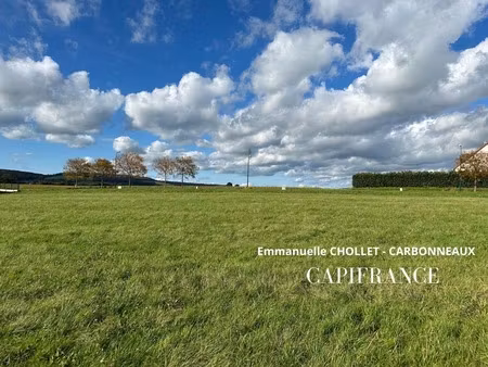 terrain à vendre vitteaux (21)