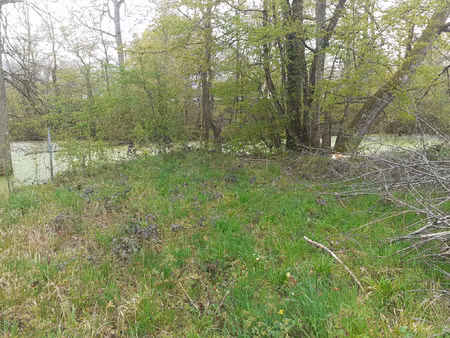 a vendre à toury lurcy  terrain constructible