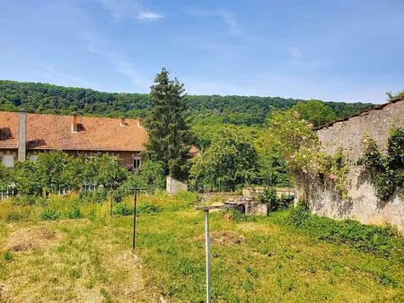 maison lorraine avec jardin et garage