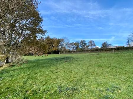 terrain constructible viabilisé à vendre