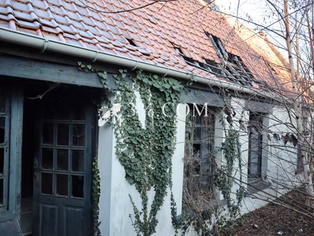 terrain à bâtir ou maison à retaper