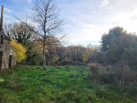 idéal marchand de biens – ensemble immobilier à rénover