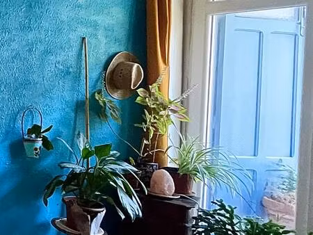 charmante maison familiale avec jardin a clermont-l'herault