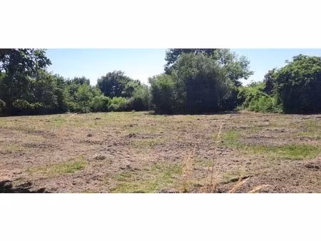 vente terrain 1000 m² lugos (33830)