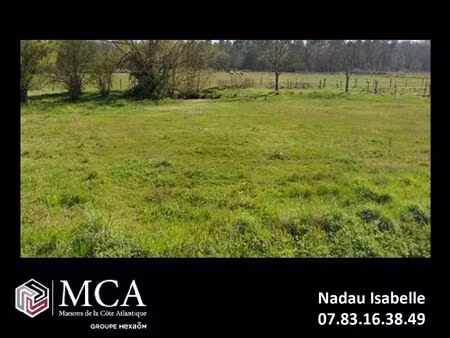 vente terrain 2000 m² saint-ciers-sur-gironde (33820)