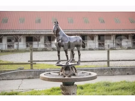 vente propriété équestre 9 pièces