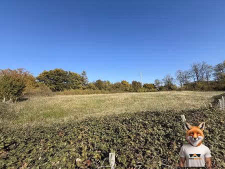 à vendre : beau grand terrain à saint-vite _ 52 17 ares