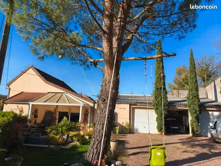 maison entourée de forêts