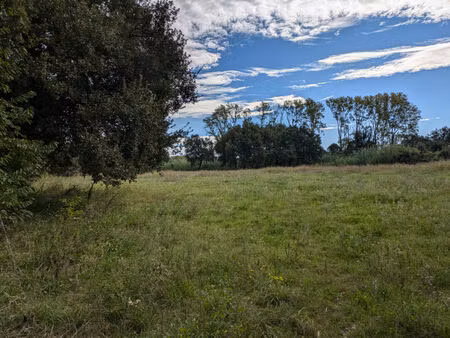 vente terrain 6000 m² argelès-sur-mer (66700)