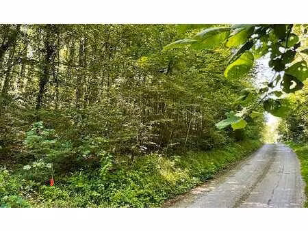 joli terrain boisé avec largeur à front de rue important