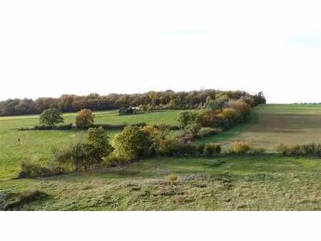 terrain à bâtir à nettinne