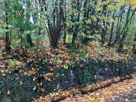 terrain boisé (talus) à vendre à saint-gérard