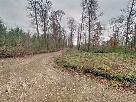 terrain à bâtir zone de loisir calme et verdoyant