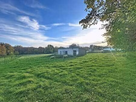 terrain en zone agricole avec abris