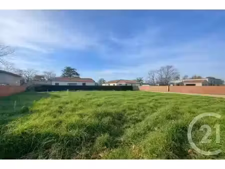 terrain à vendre - 784 m2 - florentin - 81 - midi-pyrenees
