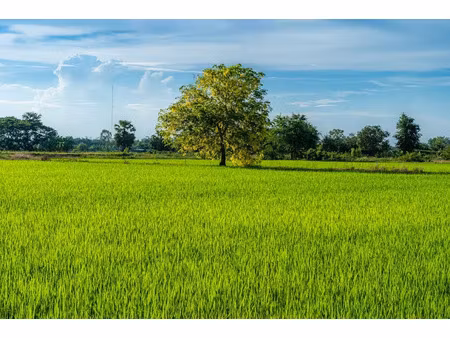 vente terrain 1499 m² à allassac (19240)  34 000 €