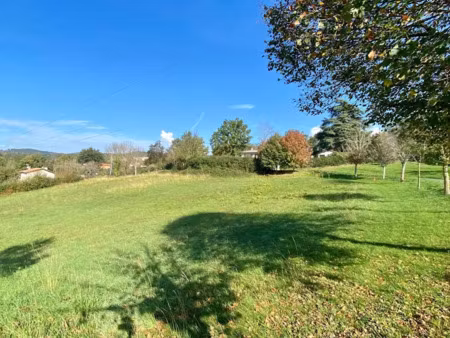 vente terrain 2116 m² à pont-de-larn (81660)  55 000 €