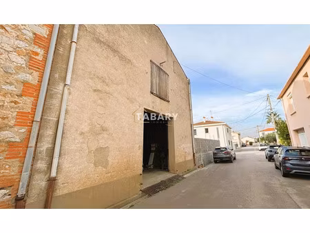 vente locaux professionnels 200 m² à torreilles (66440)  145 000 €